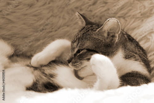 Photo: Putztrieb Putztrieb