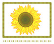 Sunflower with borders
