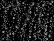 Bubbles