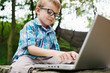 Boy delighted with laptop