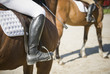 Hunt seat riding