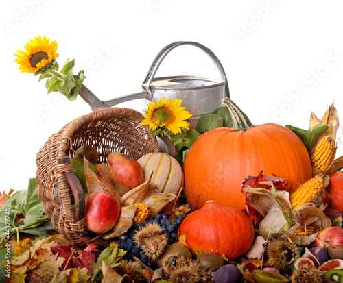 Photo: Thanksgiving bounty with an old watering pot Thanksgiving bounty with an old watering pot