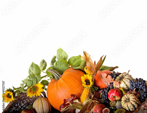 Photo: Thanksgiving bounty Thanksgiving bounty