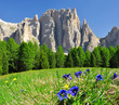 Dolomite peaks, Rosengarten,Val di Fassa, Italy Alps