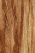 old wood texture  background
