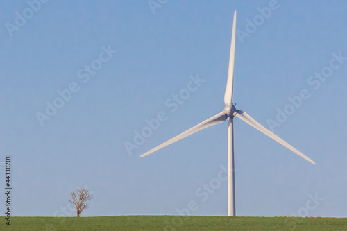 Photo: Eolienne et arbre Eolienne et arbre