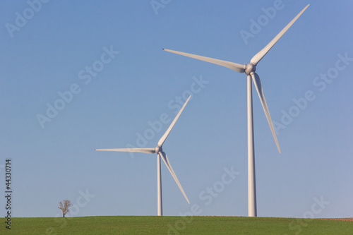 Photo: Arbre et duo d'éolienne Arbre et duo d'éolienne
