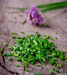 Fresh parsley on wooden background