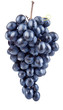 fresh blue grape fruits isolated on white background