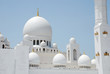 Sheikh Zayed Grand Mosque