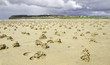 strand in schottland mit wurm häufchen