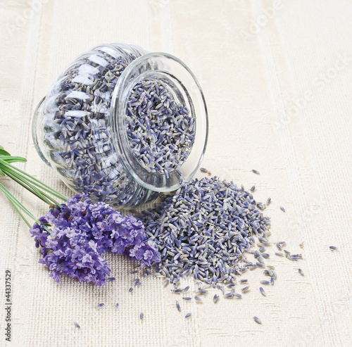 Photo: Lavender flowers - dry and fresh (Lavendelblüten) Lavender flowers - dry and fresh (Lavendelblüten)