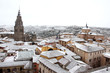 toledo nevado