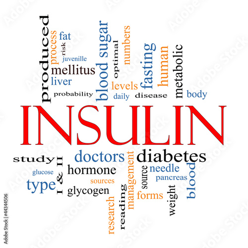 Illustration: Insulin Word Cloud Concept Insulin Word Cloud Concept