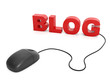 3d illustration, internet technology. Computer mouse and text bl