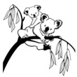 koala with baby black and white