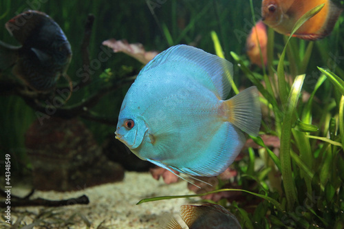Photo: Akavarium Akavarium