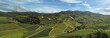 Durbacher Weinberge