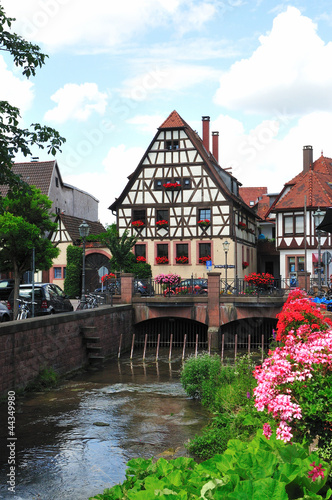 Photo: Weingarten in Baden Weingarten in Baden