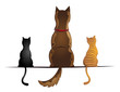 Dog and Cats