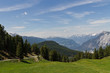 Feldringalm