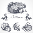 Autumn3