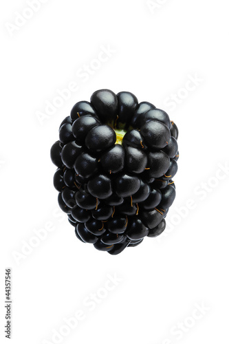Photo: Brombeere Brombeere