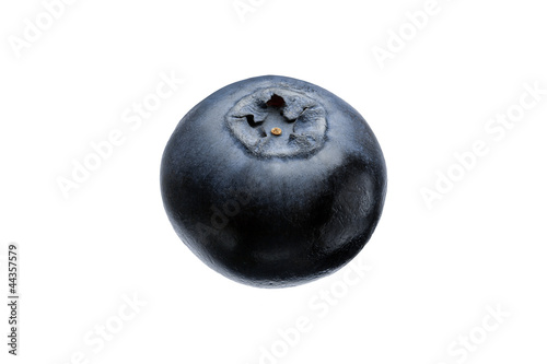 Photo: Blaubeere Blaubeere