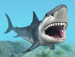 Illustration: Great White Shark Great White Shark