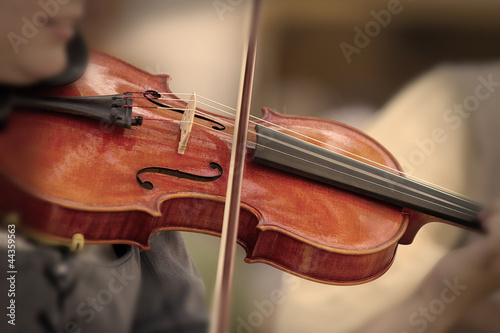 Photo: Violin Violin