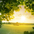 Ländliche Idylle im Spätsommer