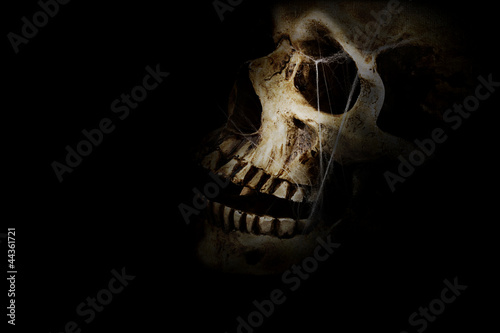 Photo: Dark Skull Dark Skull
