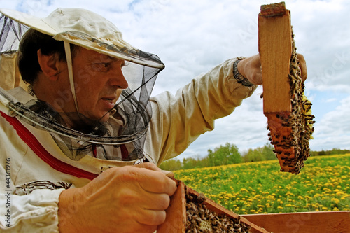Photo: Working apiarist. Working apiarist.