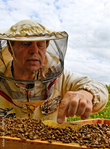 Photo: Working apiarist. Working apiarist.