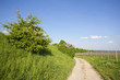 Wandern in Wien Stammersdorf