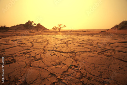 Photo: Namib Namib