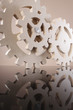 Set of MDS composite gear wheels