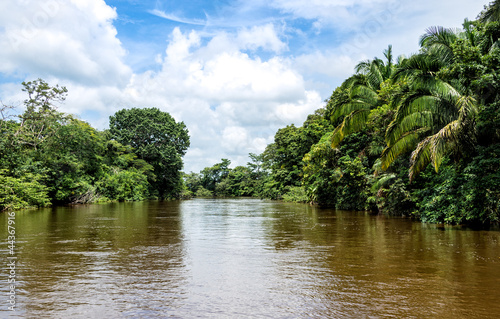Photo: Frio River in Costa Rica jungle. Frio River in Costa Rica jungle.