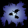 Sea Turtle