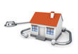 3d house and stethoscope