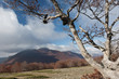 Parco Nazionale d'Abruzzo