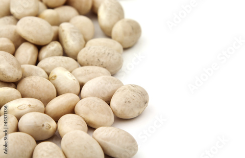 Photo: Navy beans Navy beans