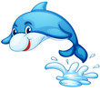 Dolphin