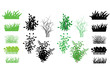 Grass. many kinds of