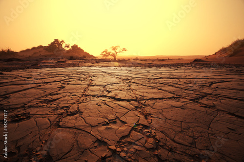 Photo: Drought land Drought land