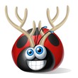 Illustration: coccinella renna coccinella renna