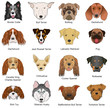 DOG BREEDS
