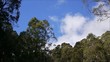 Australiens Natur
