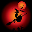 hallooween witch