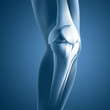 Knie-Schmerzen - 3D Grafik
